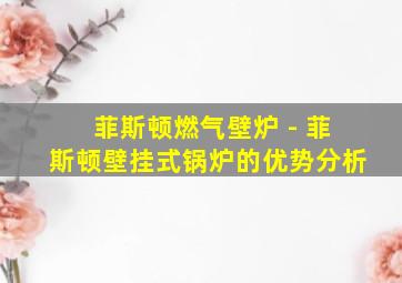 菲斯顿燃气壁炉 - 菲斯顿壁挂式锅炉的优势分析